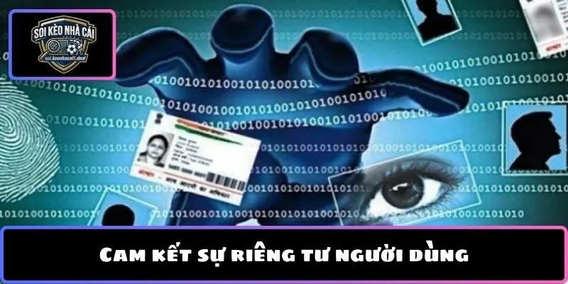 Cam kết sự riêng tư người dùng