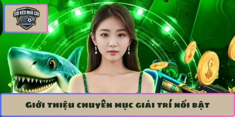 Giới thiệu chuyên mục giải trí nổi bật tại nhà cái