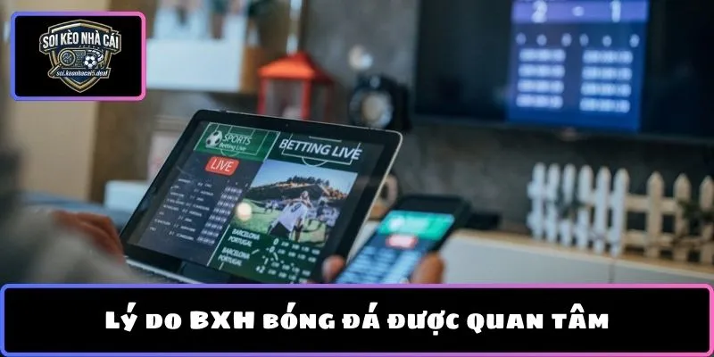 Lý do BXH bóng đá được quan tâm