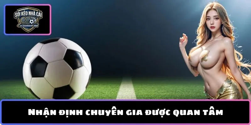 Nhận định chuyên gia được quan tâm