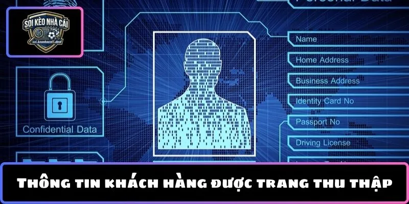 Thông tin khách hàng được trang thu thập