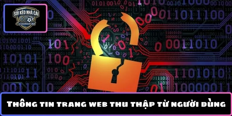 Thông tin trang web thu thập từ người dùng