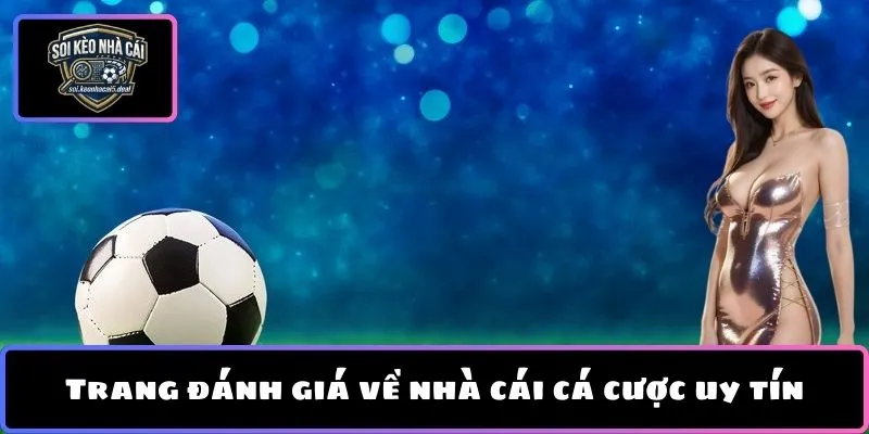 Trang đánh giá về nhà cái cá cược uy tín